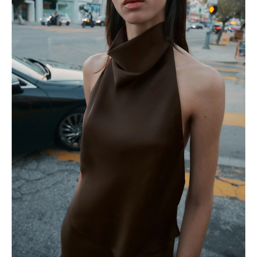 Zara Satin Brown Top